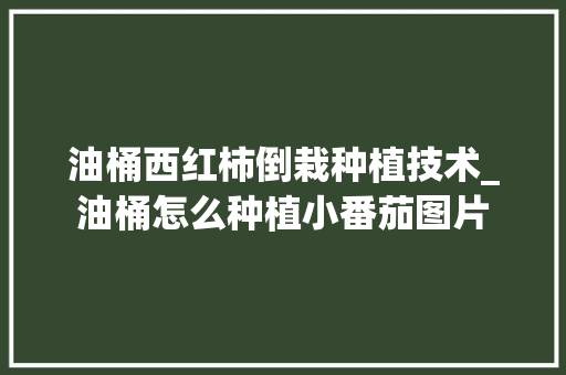油桶西红柿倒栽种植技术_油桶怎么种植小番茄图片 油桶西红柿倒栽种植技术_油桶怎么种植小番茄图片 番茄病虫害防治