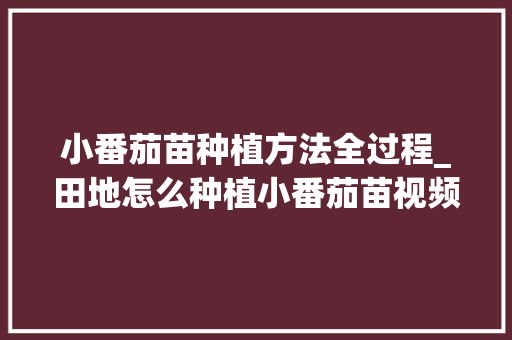 小番茄苗种植方法全过程_田地怎么种植小番茄苗视频 小番茄苗种植方法全过程_田地怎么种植小番茄苗视频 植物种类