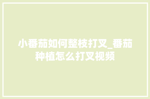 小番茄如何整枝打叉_番茄种植怎么打叉视频 小番茄如何整枝打叉_番茄种植怎么打叉视频 土壤施肥