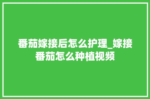 番茄嫁接后怎么护理_嫁接番茄怎么种植视频