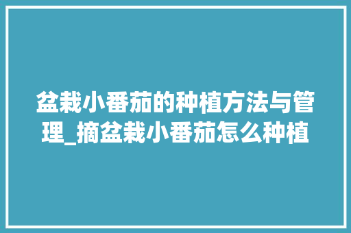盆栽小番茄的种植方法与管理_摘盆栽小番茄怎么种植视频