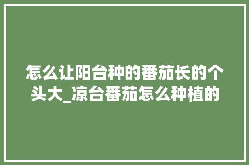 怎么让阳台种的番茄长的个头大_凉台番茄怎么种植的视频 怎么让阳台种的番茄长的个头大_凉台番茄怎么种植的视频 土壤施肥