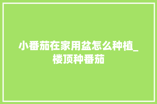 小番茄在家用盆怎么种植_楼顶种番茄 小番茄在家用盆怎么种植_楼顶种番茄 植物种类
