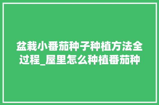 盆栽小番茄种子种植方法全过程_屋里怎么种植番茄种子呢视频 盆栽小番茄种子种植方法全过程_屋里怎么种植番茄种子呢视频 种植技巧