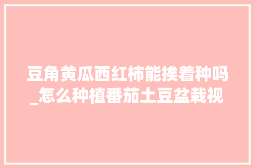 豆角黄瓜西红柿能挨着种吗_怎么种植番茄土豆盆栽视频