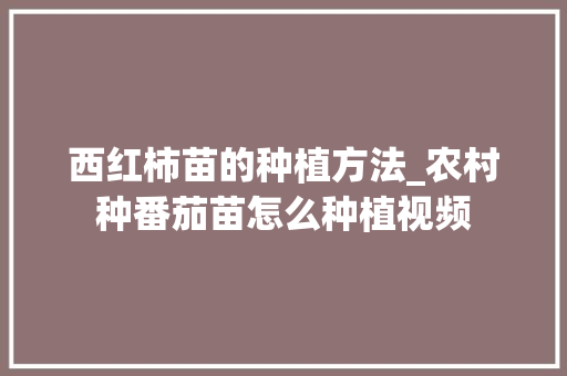 西红柿苗的种植方法_农村种番茄苗怎么种植视频 西红柿苗的种植方法_农村种番茄苗怎么种植视频 番茄病虫害防治