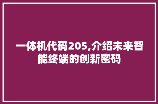 一体机代码205,介绍未来智能终端的创新密码