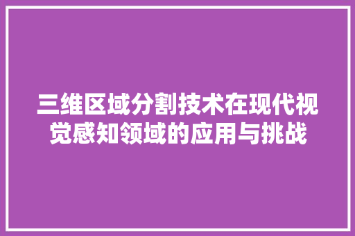 三维区域分割技术在现代视觉感知领域的应用与挑战