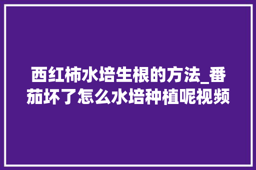 西红柿水培生根的方法_番茄坏了怎么水培种植呢视频 植物种类 西红柿水培生根的方法_番茄坏了怎么水培种植呢视频 西红柿水培生根的方法_番茄坏了怎么水培种植呢视频 植物种类
