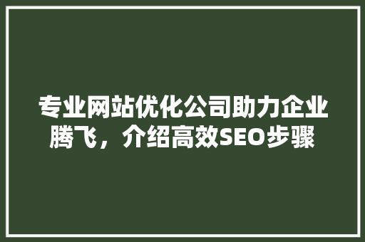 专业网站优化公司助力企业腾飞，介绍高效SEO步骤