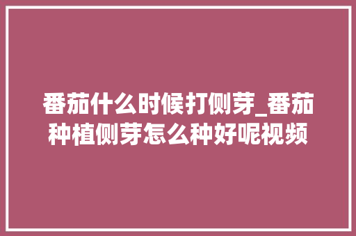 番茄什么时候打侧芽_番茄种植侧芽怎么种好呢视频