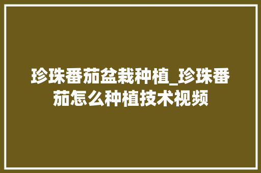 珍珠番茄盆栽种植_珍珠番茄怎么种植技术视频