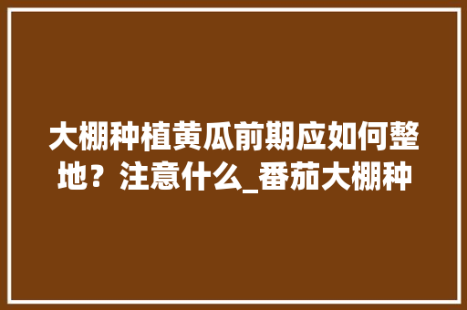 大棚种植黄瓜前期应如何整地？注意什么_番茄大棚种植怎么整地的视频 大棚种植黄瓜前期应如何整地？注意什么_番茄大棚种植怎么整地的视频 种植技巧