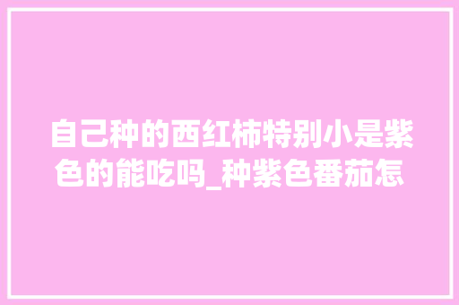 自己种的西红柿特别小是紫色的能吃吗_种紫色番茄怎么种植方法视频 自己种的西红柿特别小是紫色的能吃吗_种紫色番茄怎么种植方法视频 土壤施肥