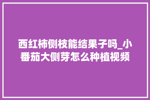 西红柿侧枝能结果子吗_小番茄大侧芽怎么种植视频 西红柿侧枝能结果子吗_小番茄大侧芽怎么种植视频 种植技巧