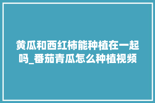 黄瓜和西红柿能种植在一起吗_番茄青瓜怎么种植视频