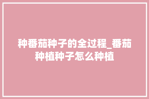 种番茄种子的全过程_番茄种植种子怎么种植 种番茄种子的全过程_番茄种植种子怎么种植 番茄种植技巧