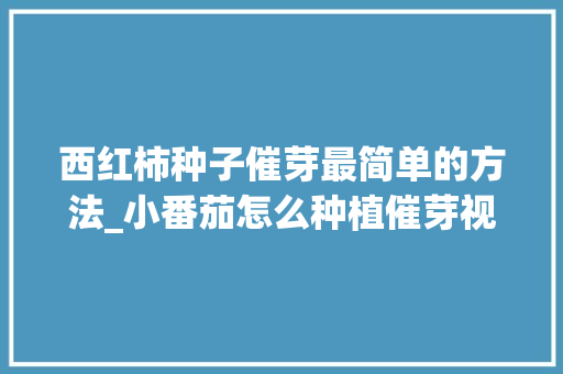 西红柿种子催芽最简单的方法_小番茄怎么种植催芽视频 西红柿种子催芽最简单的方法_小番茄怎么种植催芽视频 种植技巧