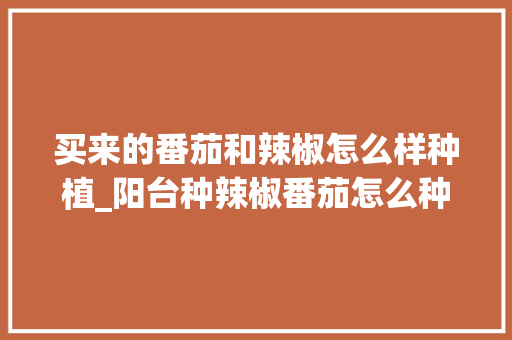 买来的番茄和辣椒怎么样种植_阳台种辣椒番茄怎么种植视频