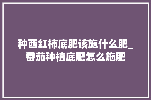 种西红柿底肥该施什么肥_番茄种植底肥怎么施肥
