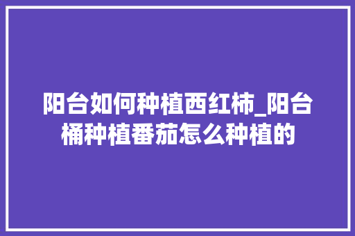 阳台如何种植西红柿_阳台桶种植番茄怎么种植的 阳台如何种植西红柿_阳台桶种植番茄怎么种植的 种植技巧