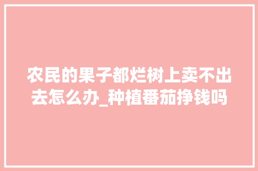 农民的果子都烂树上卖不出去怎么办_种植番茄挣钱吗