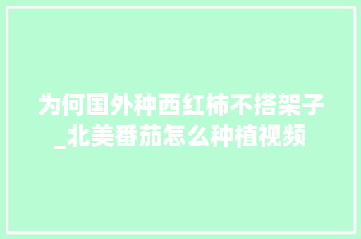 为何国外种西红柿不搭架子_北美番茄怎么种植视频