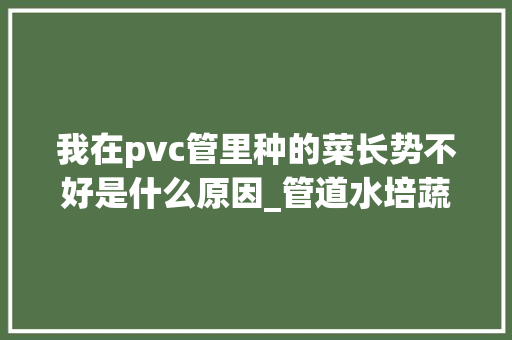我在pvc管里种的菜长势不好是什么原因_管道水培蔬菜种植技巧视频