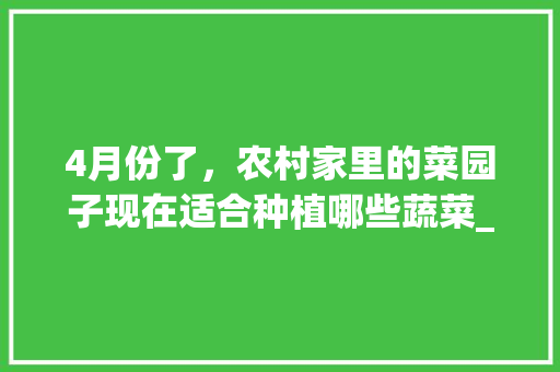 4月份了，农村家里的菜园子现在适合种植哪些蔬菜_蔬菜种植技巧谚语大全集图片 4月份了，农村家里的菜园子现在适合种植哪些蔬菜_蔬菜种植技巧谚语大全集图片 植物种类