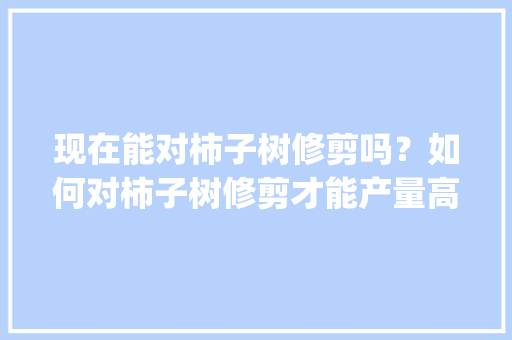 现在能对柿子树修剪吗？如何对柿子树修剪才能产量高_大番茄种植怎么修剪视频教程