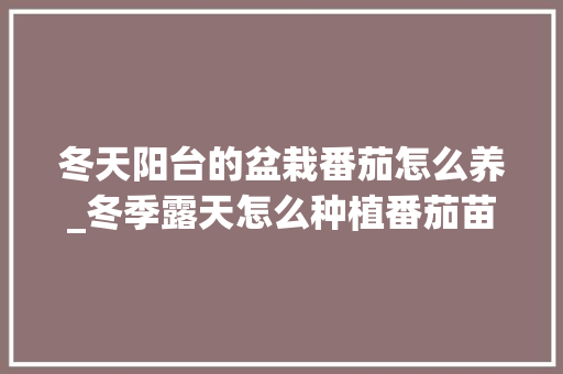 冬天阳台的盆栽番茄怎么养_冬季露天怎么种植番茄苗呢 冬天阳台的盆栽番茄怎么养_冬季露天怎么种植番茄苗呢 番茄种植技巧