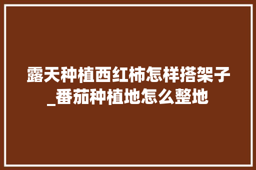 露天种植西红柿怎样搭架子_番茄种植地怎么整地 露天种植西红柿怎样搭架子_番茄种植地怎么整地 番茄种植技巧
