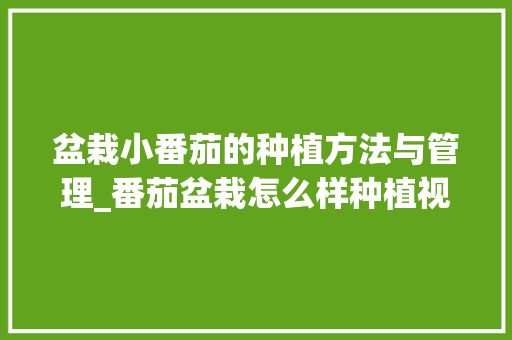 盆栽小番茄的种植方法与管理_番茄盆栽怎么样种植视频 盆栽小番茄的种植方法与管理_番茄盆栽怎么样种植视频 土壤施肥