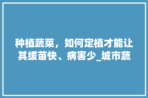 种植蔬菜，如何定植才能让其缓苗快、病害少_城市蔬菜种植技巧和方法