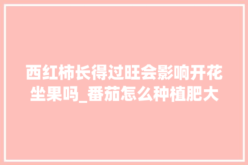 西红柿长得过旺会影响开花坐果吗_番茄怎么种植肥大的