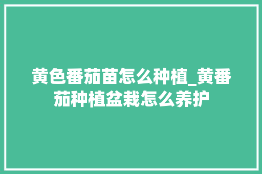 黄色番茄苗怎么种植_黄番茄种植盆栽怎么养护 黄色番茄苗怎么种植_黄番茄种植盆栽怎么养护 番茄病虫害防治