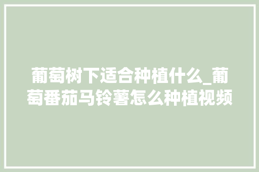 葡萄树下适合种植什么_葡萄番茄马铃薯怎么种植视频