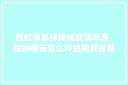 西红柿怎样嫁接成活率高_嫁接番茄怎么种植视频教程