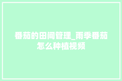 番茄的田间管理_雨季番茄怎么种植视频