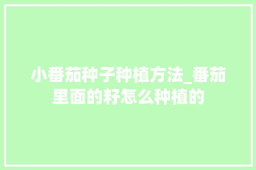 小番茄种子种植方法_番茄里面的籽怎么种植的