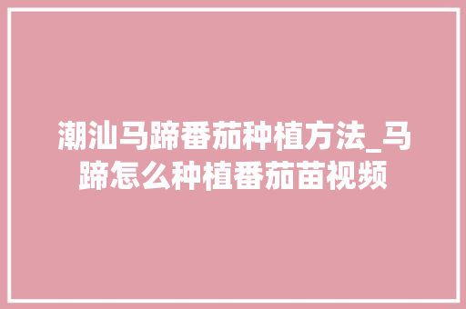潮汕马蹄番茄种植方法_马蹄怎么种植番茄苗视频 潮汕马蹄番茄种植方法_马蹄怎么种植番茄苗视频 花朵知识