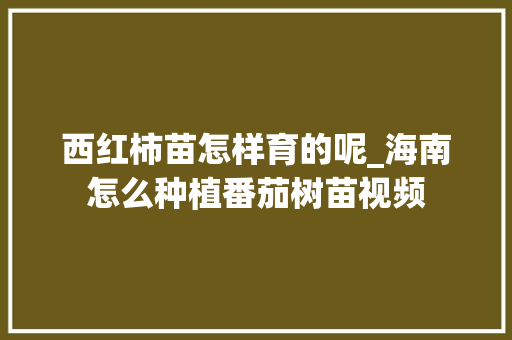 西红柿苗怎样育的呢_海南怎么种植番茄树苗视频 西红柿苗怎样育的呢_海南怎么种植番茄树苗视频 土壤施肥