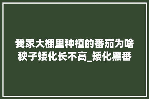 我家大棚里种植的番茄为啥秧子矮化长不高_矮化黑番茄苗怎么种植视频
