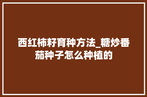 西红柿籽育种方法_糖炒番茄种子怎么种植的