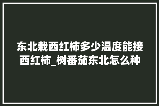 东北栽西红柿多少温度能接西红柿_树番茄东北怎么种植的 东北栽西红柿多少温度能接西红柿_树番茄东北怎么种植的 种植技巧