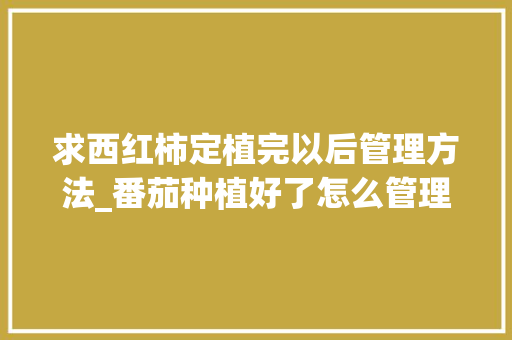 求西红柿定植完以后管理方法_番茄种植好了怎么管理呢 求西红柿定植完以后管理方法_番茄种植好了怎么管理呢 番茄种植技巧