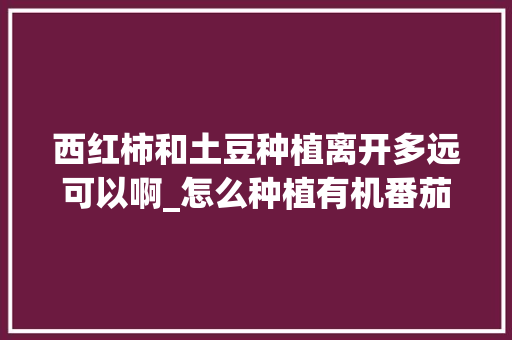 西红柿和土豆种植离开多远可以啊_怎么种植有机番茄土豆苗视频
