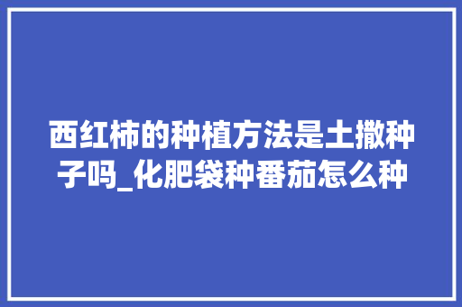 西红柿的种植方法是土撒种子吗_化肥袋种番茄怎么种植视频