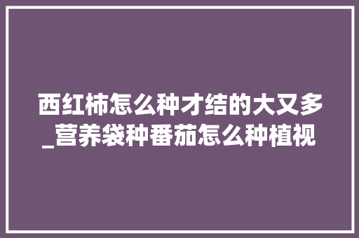 西红柿怎么种才结的大又多_营养袋种番茄怎么种植视频 西红柿怎么种才结的大又多_营养袋种番茄怎么种植视频 农业常识