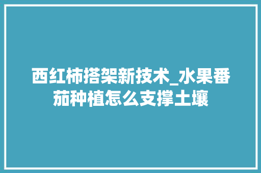 西红柿搭架新技术_水果番茄种植怎么支撑土壤 西红柿搭架新技术_水果番茄种植怎么支撑土壤 番茄种植技巧